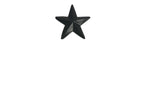 Rustic Series Star 2" Clavos Nail Studs in a (Pack of 12)